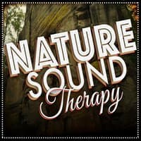 Nature Sound Therapy