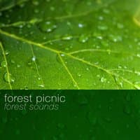 Forest Picnic: Forest Sounds