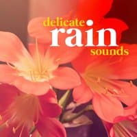 Delicate Rain Sounds