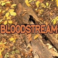 Bloodstream - Tribute to Ed Sheeran and Rudimental