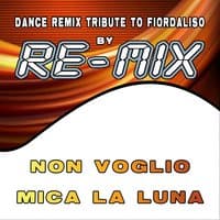 Non voglio mica la luna : Dance Remix Tribute to Fiordaliso