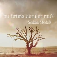 Bu Fırtına Durulur mu?