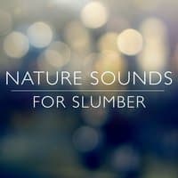 Nature Sounds for Slumber