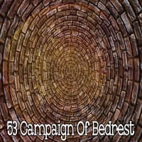 53 Campaign of Bedrest