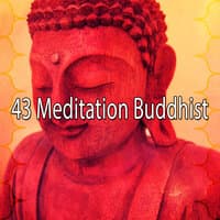 43 Meditation Buddhist