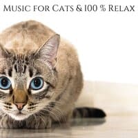 Music for Cats & 100 % Relax: Natural Anxiety and Stress Relief, Deep Sleep & Relaxation Music