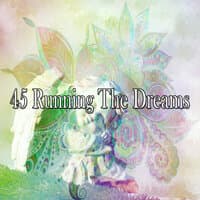 45 Running The Dreams