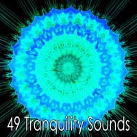 49 Tranquility Sounds