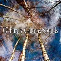 67 Purely Calming Sounds