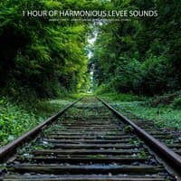 1 Hour of Harmonious Levee Sounds