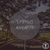 Spring Avenue