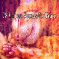 78 Various Sounds for Peace