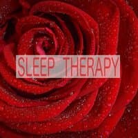 Sleep Therapy