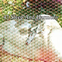 47 Sleep and Harmony