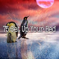 75 Set up Your Bed