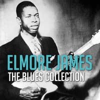 The Blues Collection: Elmore James