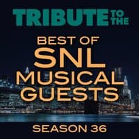 Tribute to the Best of SNL Musical Guests Season 36