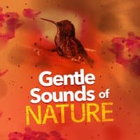 Gentle Sounds of Nature