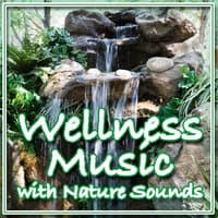 Wellness Music with Nature Sounds