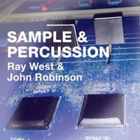 Samples & Percussion