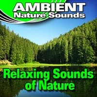 Relaxing Sounds of Nature (Nature Sounds)