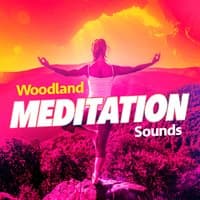 Woodland Meditation Sounds