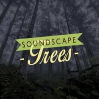 Soundscape: Trees