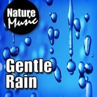 Gentle Rain (Nature Sound with Music)