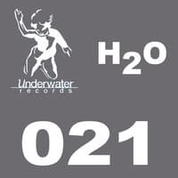 H20