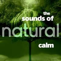 The Sounds of Natural Calm