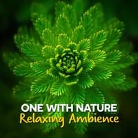 One with Nature: Relaxing Ambience