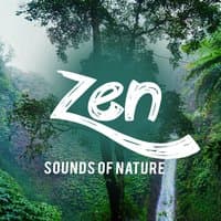 Zen Sounds of Nature