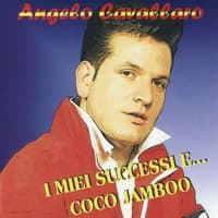 I miei successi...e coco jamboo