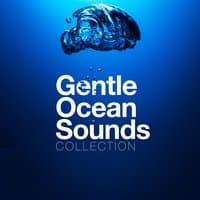 Gentle Ocean Sounds Collection