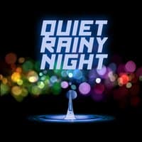 Quiet Rainy Night