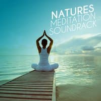 Nature's Meditation Soundtrack