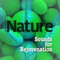 Nature Sounds for Rejuvenation