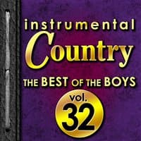 Instrumental Country: The Best of the Boys, Vol. 32