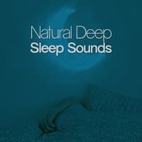 Natural Deep Sleep Sounds