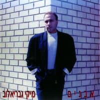 אבנים