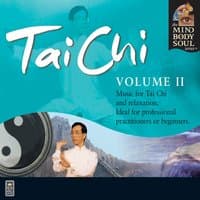 Tai Chi, Vol. II