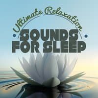 Ultimate Relaxation Sounds for Sleep