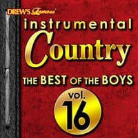 Instrumental Country: The Best of the Boys, Vol. 16