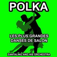 Les plus grandes danses de salon: Polka