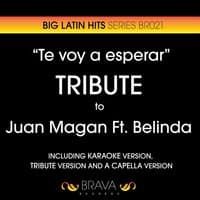 Te Voy a Esperar - Tribute To Juan Magan And Belinda