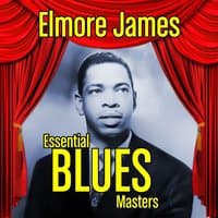 Essential Blues Masters