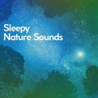 Sleepy Nature Sounds