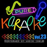 Pure Karaoke, Vol. 23