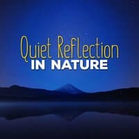 Quiet Reflection in Nature