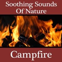 Soothing Sounds of Nature - Campfire